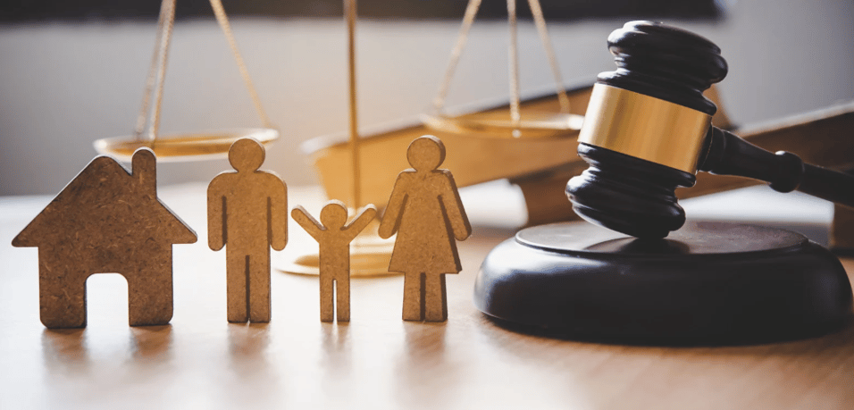 WEB2511W01 - Complex Issues in Family Provision