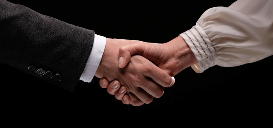 WEB263NZA04 - Shareholder Agreements