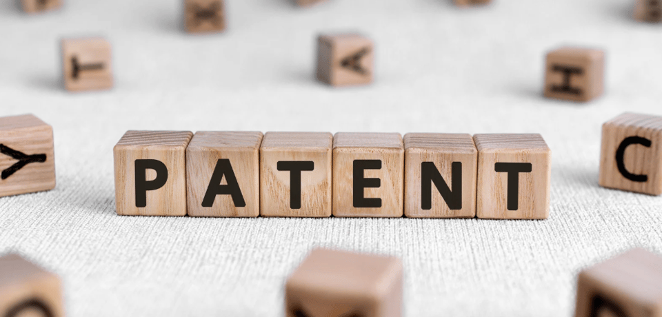WEB266N02 - Patents Law and Practice
