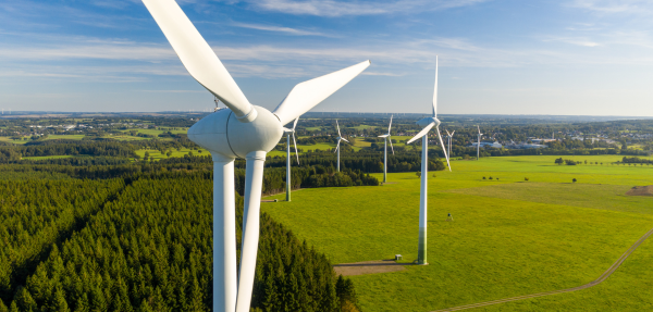 Energy and Resources Law: Government Intervention, Market Dynamics and The Energy Transition
